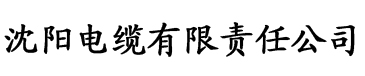 差差漫漫《健身教练》电缆厂logo